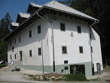 Zoisova grašina